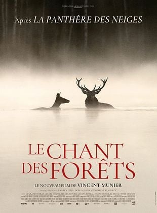 Affiche chant